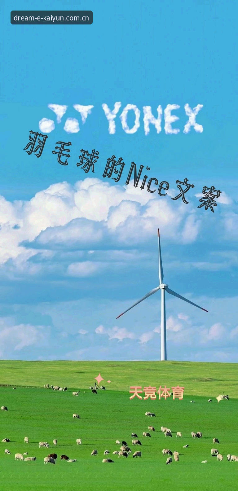 KAIYUN平台网址 资深体育迷聊世界杯观赛:签证困局下的冷场与我的平台选择心得